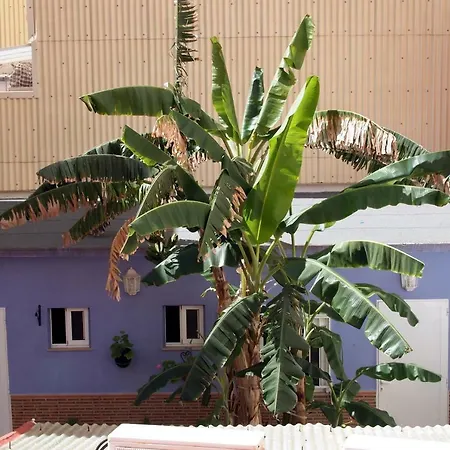 Flaming Cb Apartment Cullera